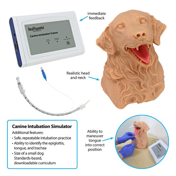 Canine Intubation Simulator Contents annotated