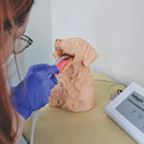 Switch Canine Intubation Simulator Lifestyle image 2 3 image