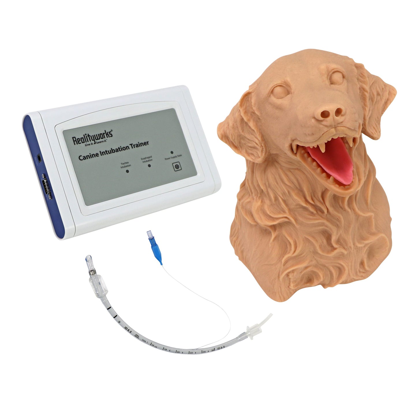 Canine Intubation Simulator image 1