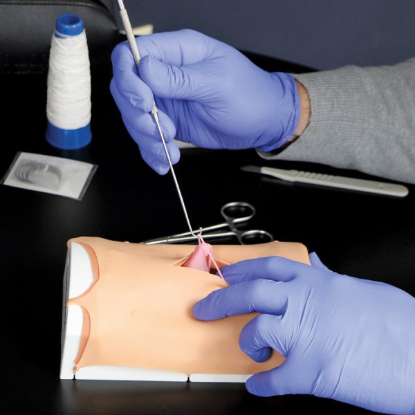 Canine Spay Simulation Kit 47010600 close up lifestyle image suture