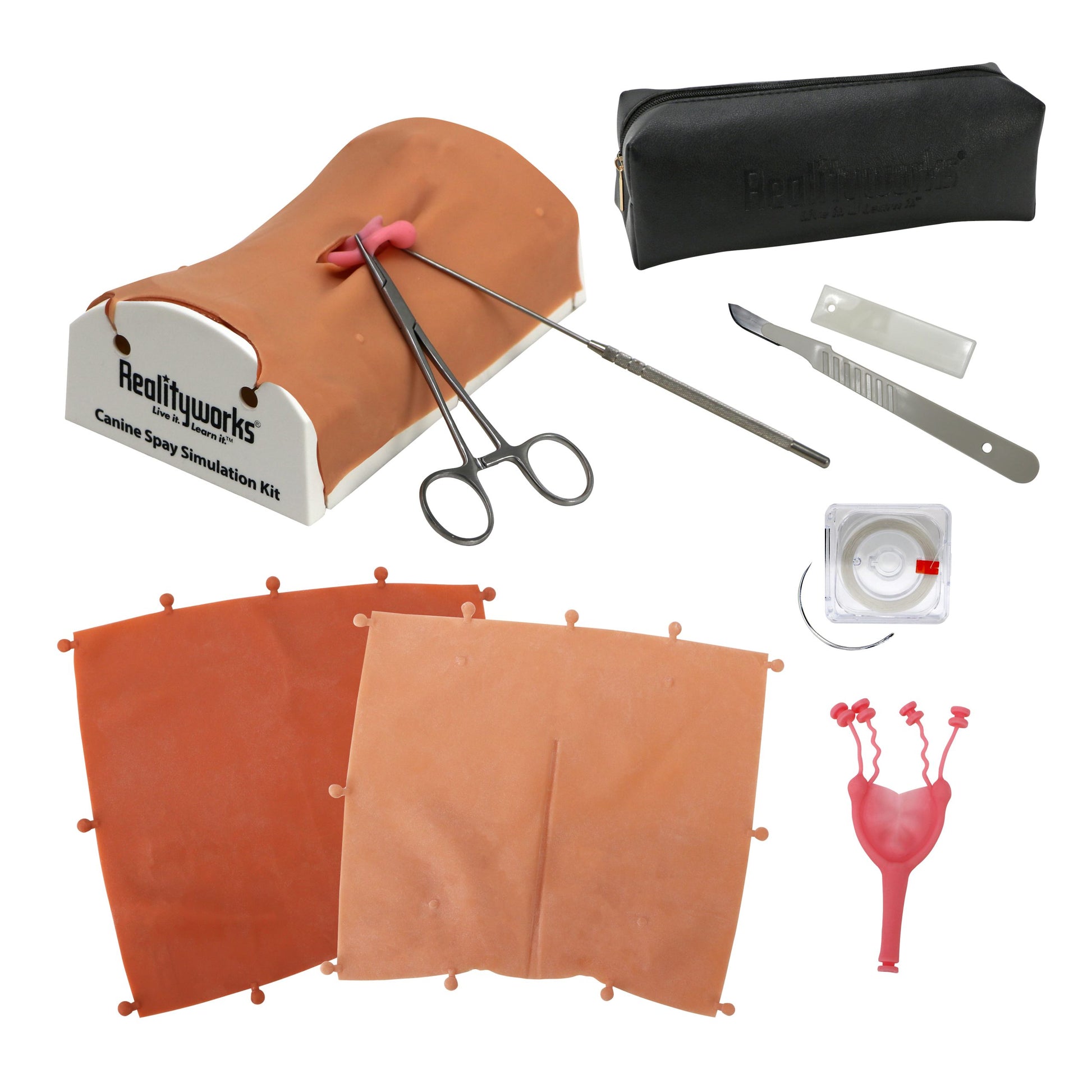 Canine Spay Simulation Kit