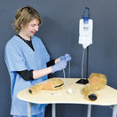 Switch Canine Venepuncture Legs 47010650  lifestyle image 2 3 image