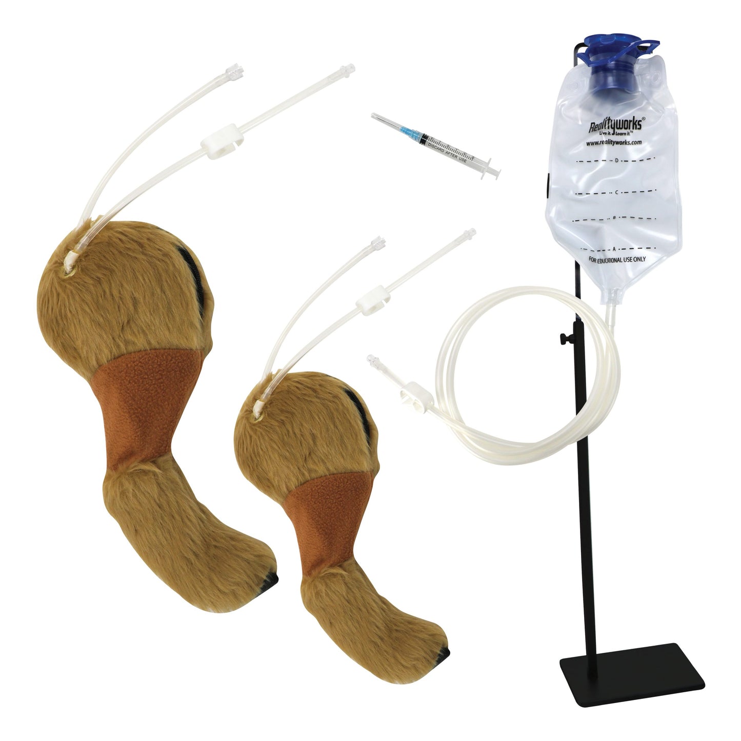 Canine Venepuncture Legs 47010650  contents