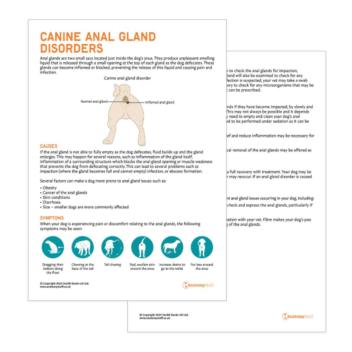Canine Anal Gland Disorders Pet Owner Education Handout