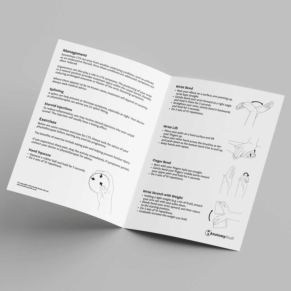 Carpal Tunnel Syndrome Inside Leaflet