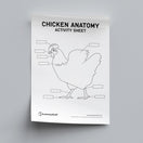 Switch Chicken Anatomy Activity Sheet PDF 2 image