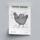 Switch Chicken Anatomy Poster PDF 2 image