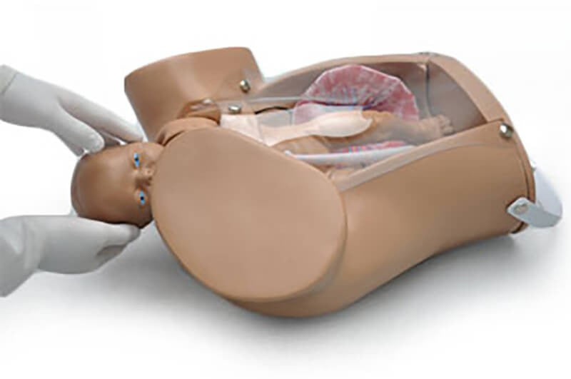 Obstetric SUSIE The Original Childbirth Skills Trainer