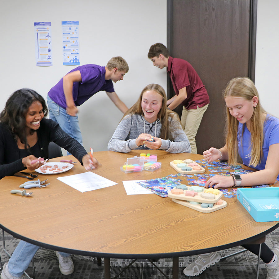 Childhood Stages Simulation Kit