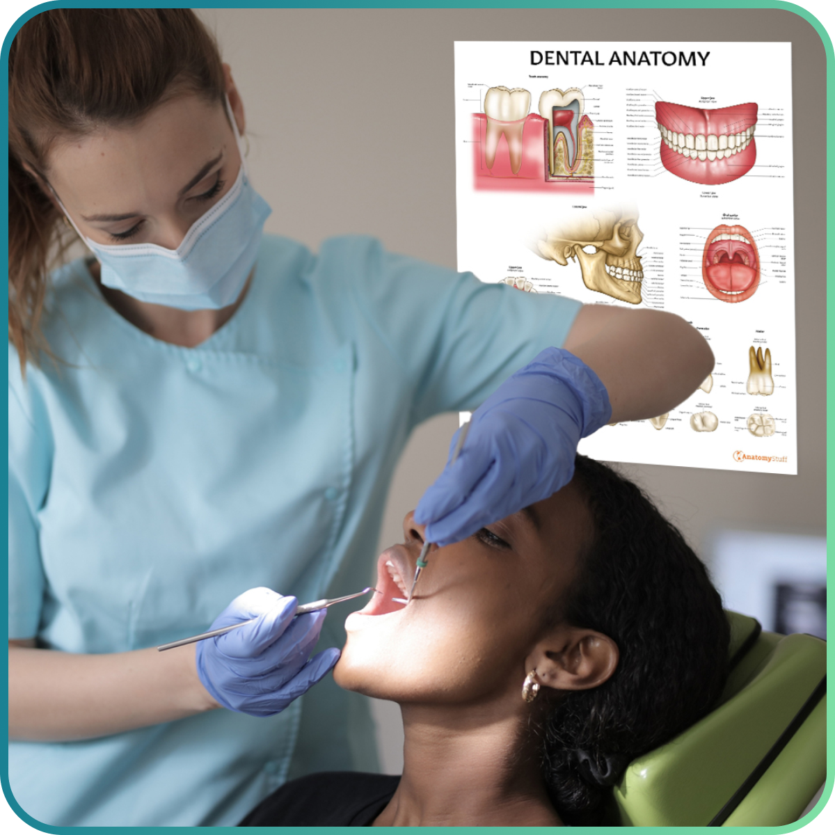 Dental and Teeth