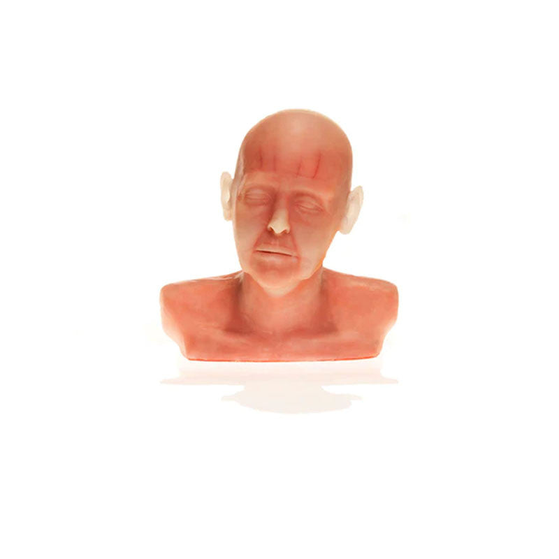 Diaphanous Zsa Zsa Cosmetic Filler Model