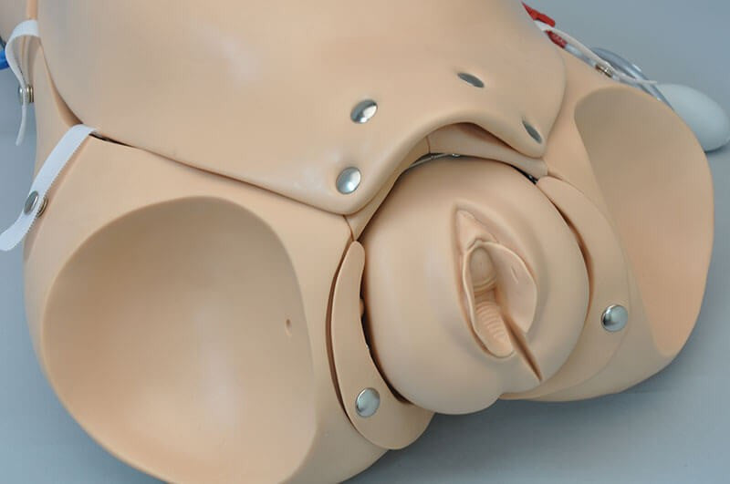 NOELLE Skills Trainer Package with OMNI Birthing Torso