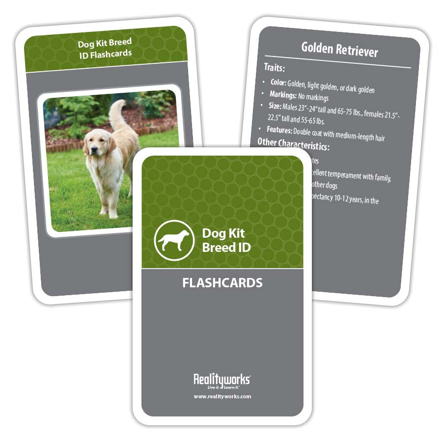 Dog Kit Flashcards covering different dog breeds
