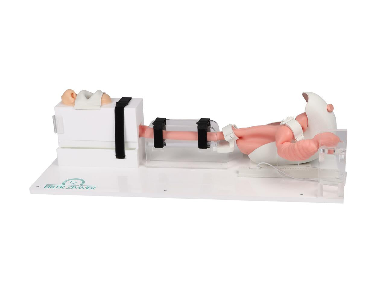EGD Simulator