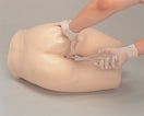 Switch Fluid injection into the enema training model 3 image