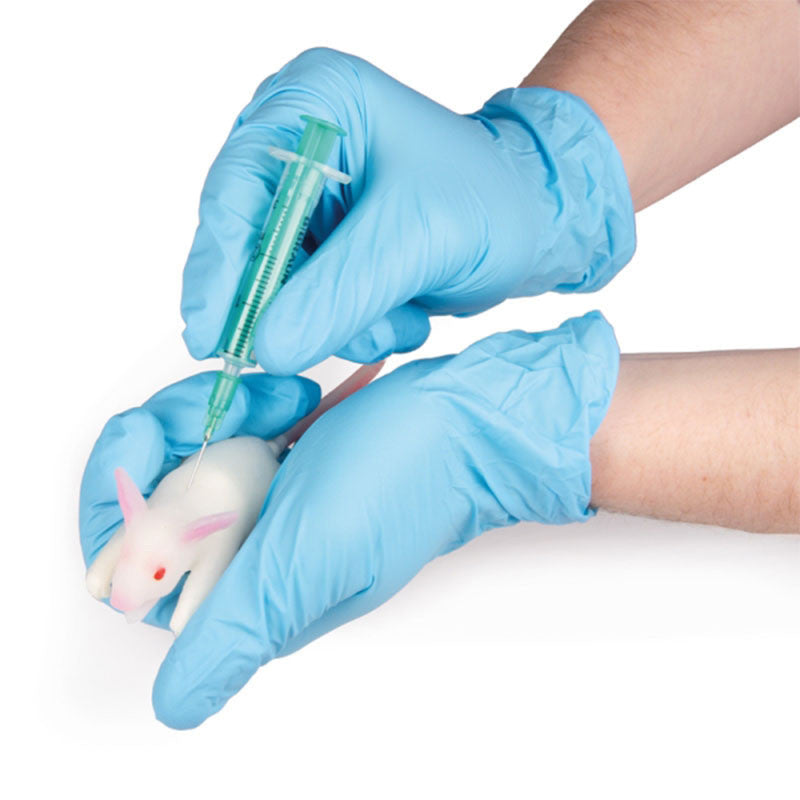 Simulation Model Mouse | Mouse Training Model | AnatomyStuff