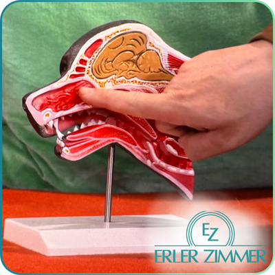 Erler Zimmer