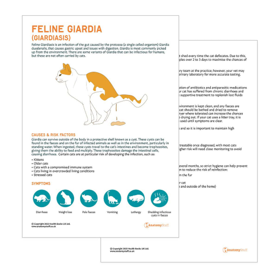 Feline Giardia Pet Owner Education Handout (Printable PDF)