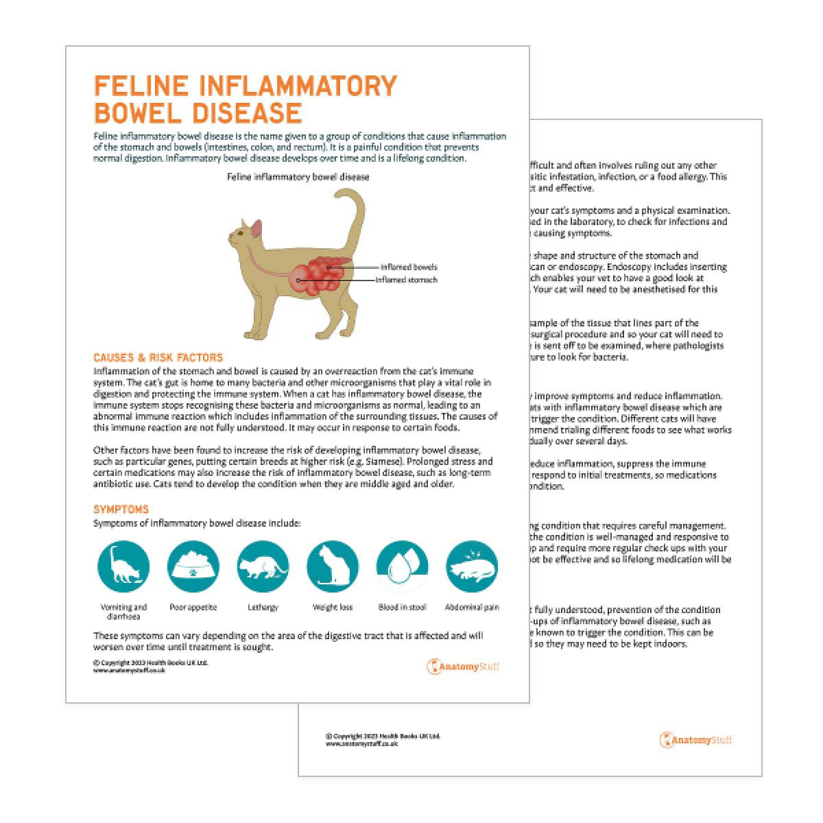 Feline Inflammatory Bowel Disease Pet Owner Education Handout