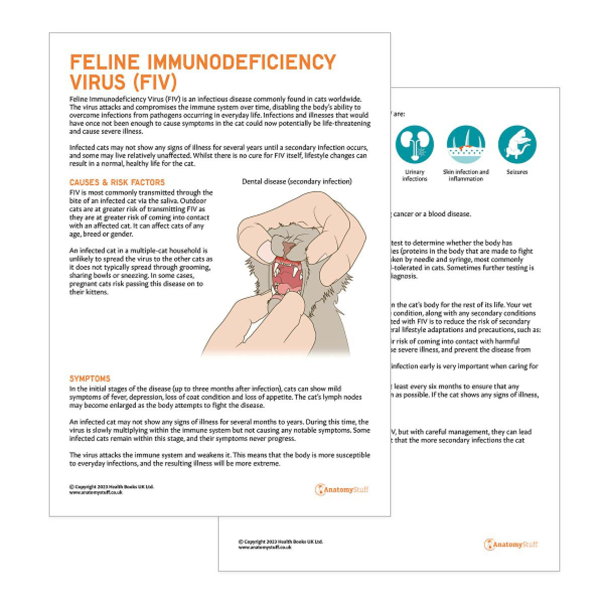 Cat Immunodeficiency Virus Pet Owner Education Handout