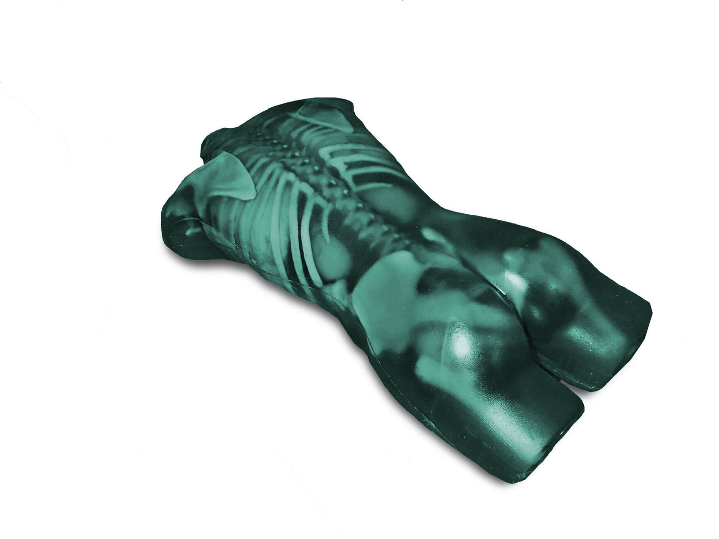 FLU02 Adult Torso for X-Ray CT, US
