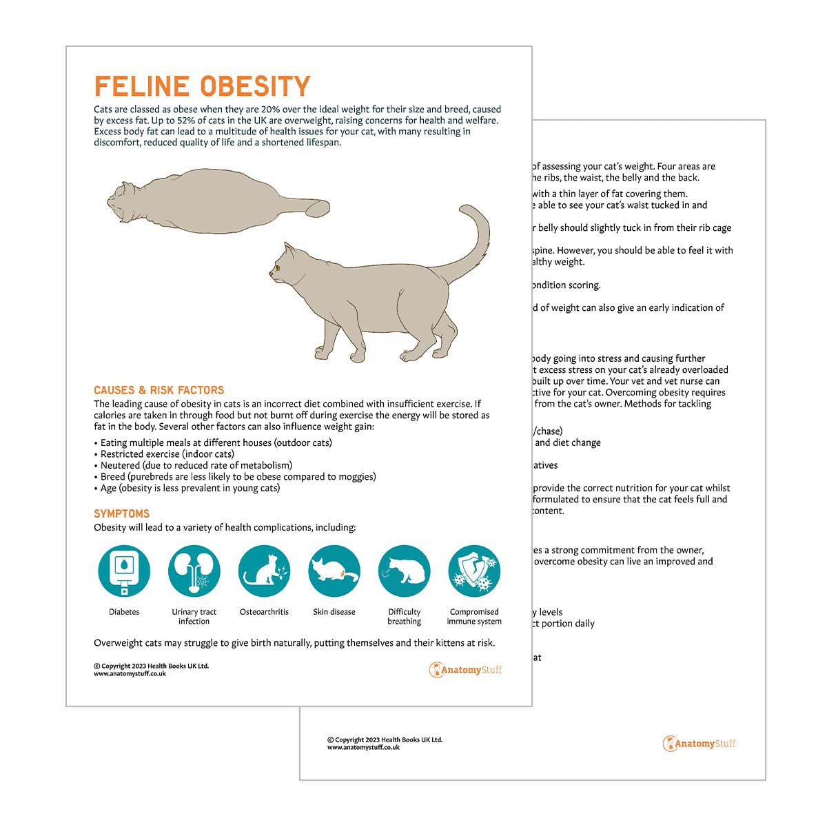 Cat Obesity Pet Owner Education Handout