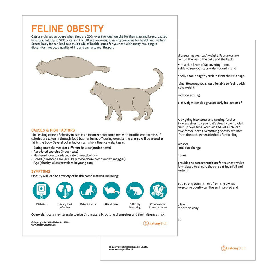 Feline Obesity Pet Owner Education Handout (Printable PDF)