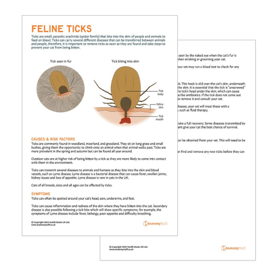 Feline Ticks Pet Owner Education Handout (Printable PDF)