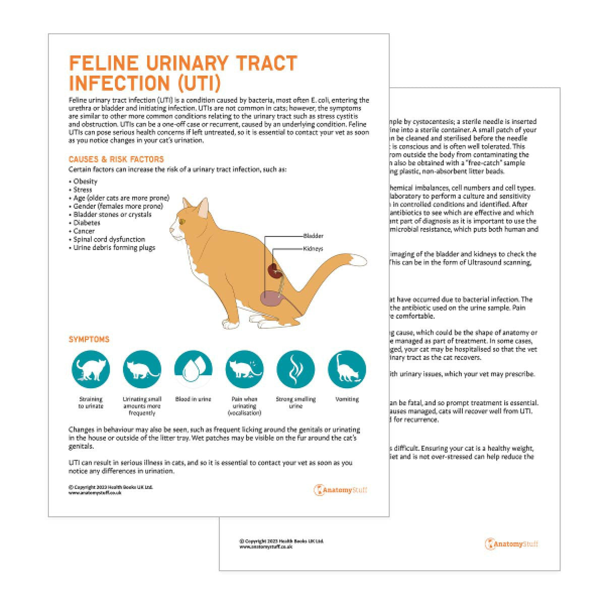 Feline Urinary Tract Infection Pet Owner Education Handout