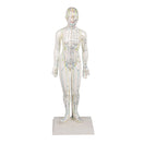 Switch Mounted Female Acupuncture Model 3 image