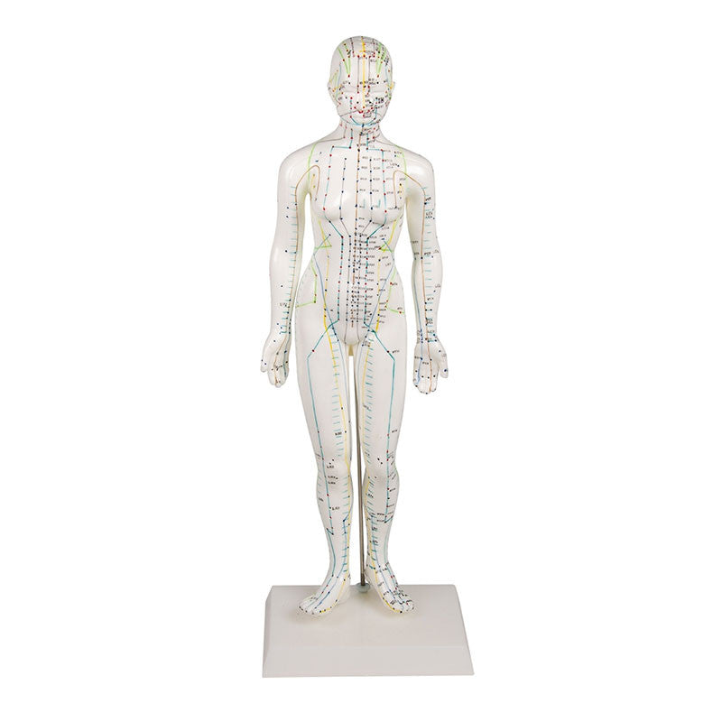 Acupuncture Collection