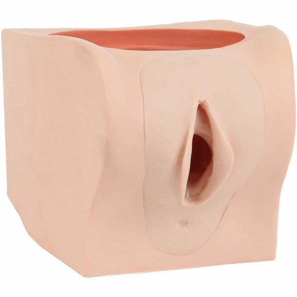 Female Contraception Trainer