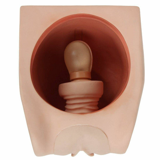 Female Contraception Trainer