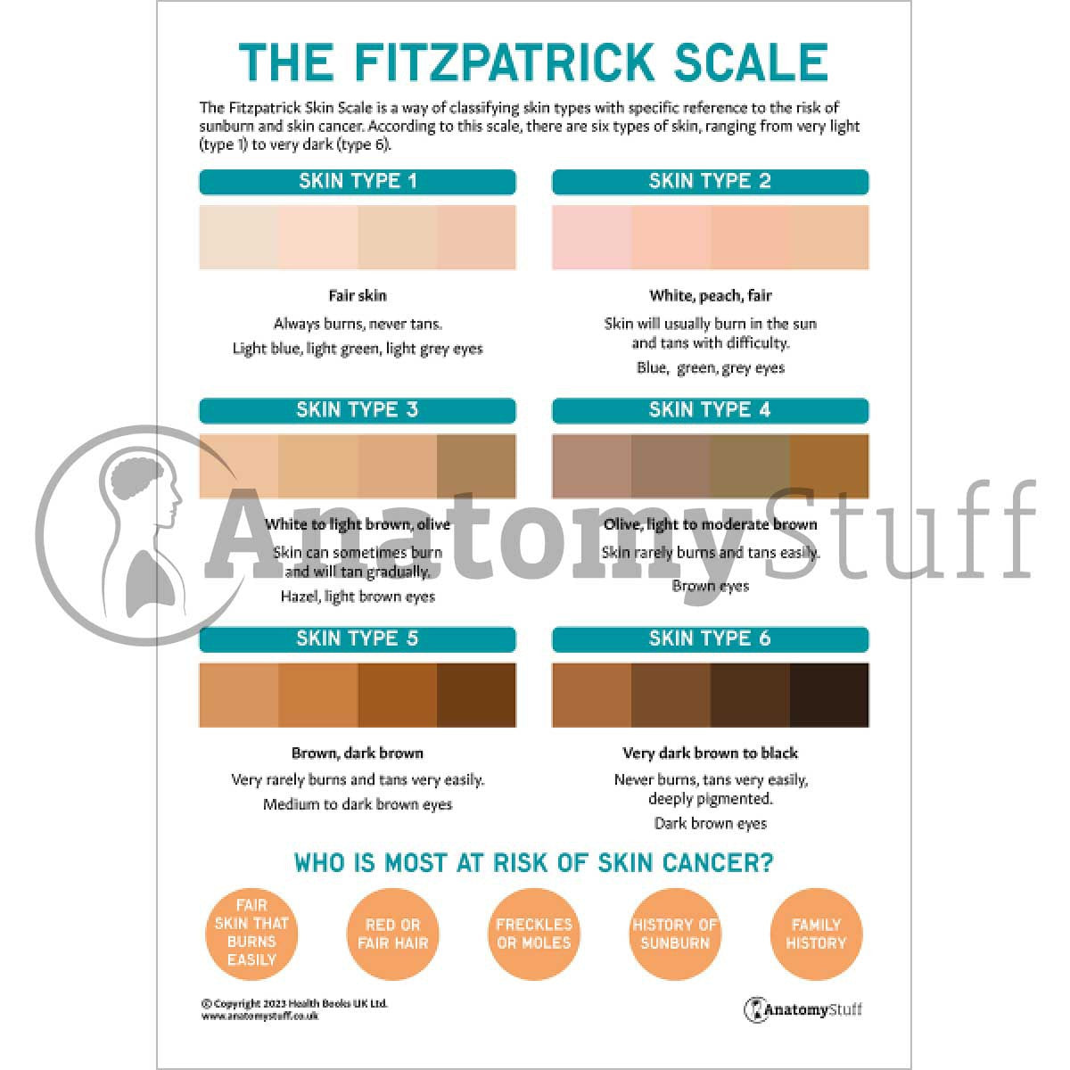 The Fitzpatrick Skin Cancer Scale (Printable PDF)