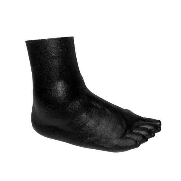 Foot Phantom Model