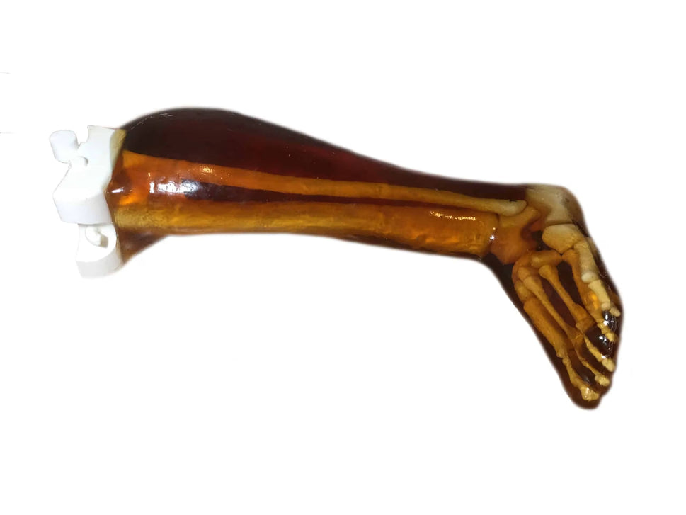 Adult Full Body Phantom for X-Ray CT, MRI