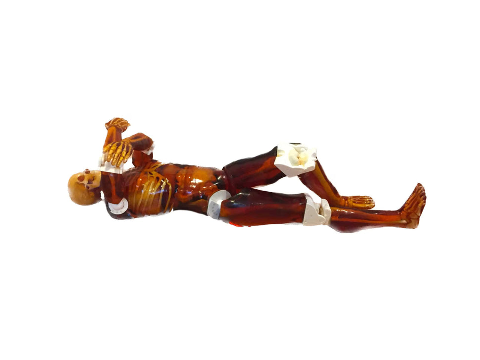 Adult Full Body Phantom for X-Ray CT, MRI
