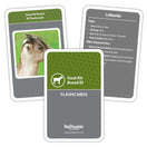 Switch Goat Kit Breed ID Flashcards 2 image