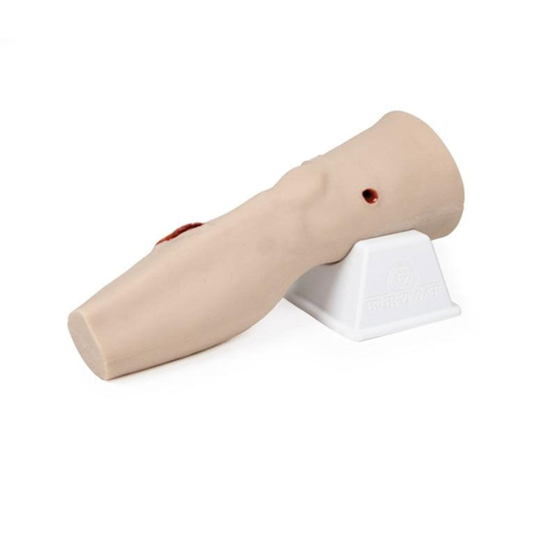 Gun Shot And Laceration Wounds On Human Leg Model