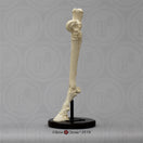 Switch Equine Hind Foot Bone Clones SC-125-185 2 image