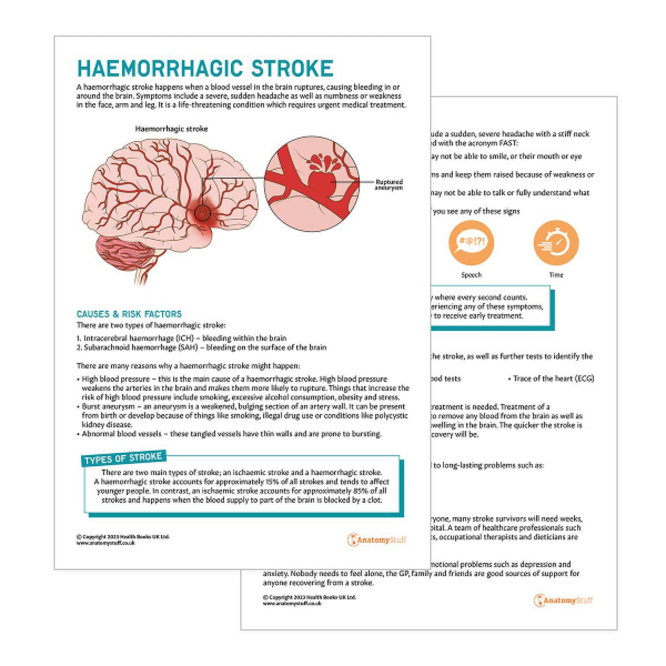 Haemorrhagic Stroke Patient Education Handout (Printable PDF)