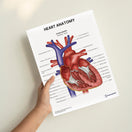 Switch Heart Anatomy Print (Small 20 x 25 cm) 2 image