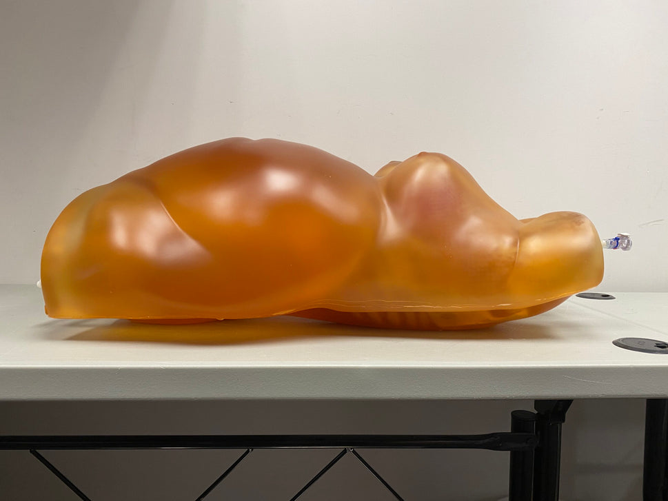 Adult Female Torso Phantom for X-Ray CT, MRI