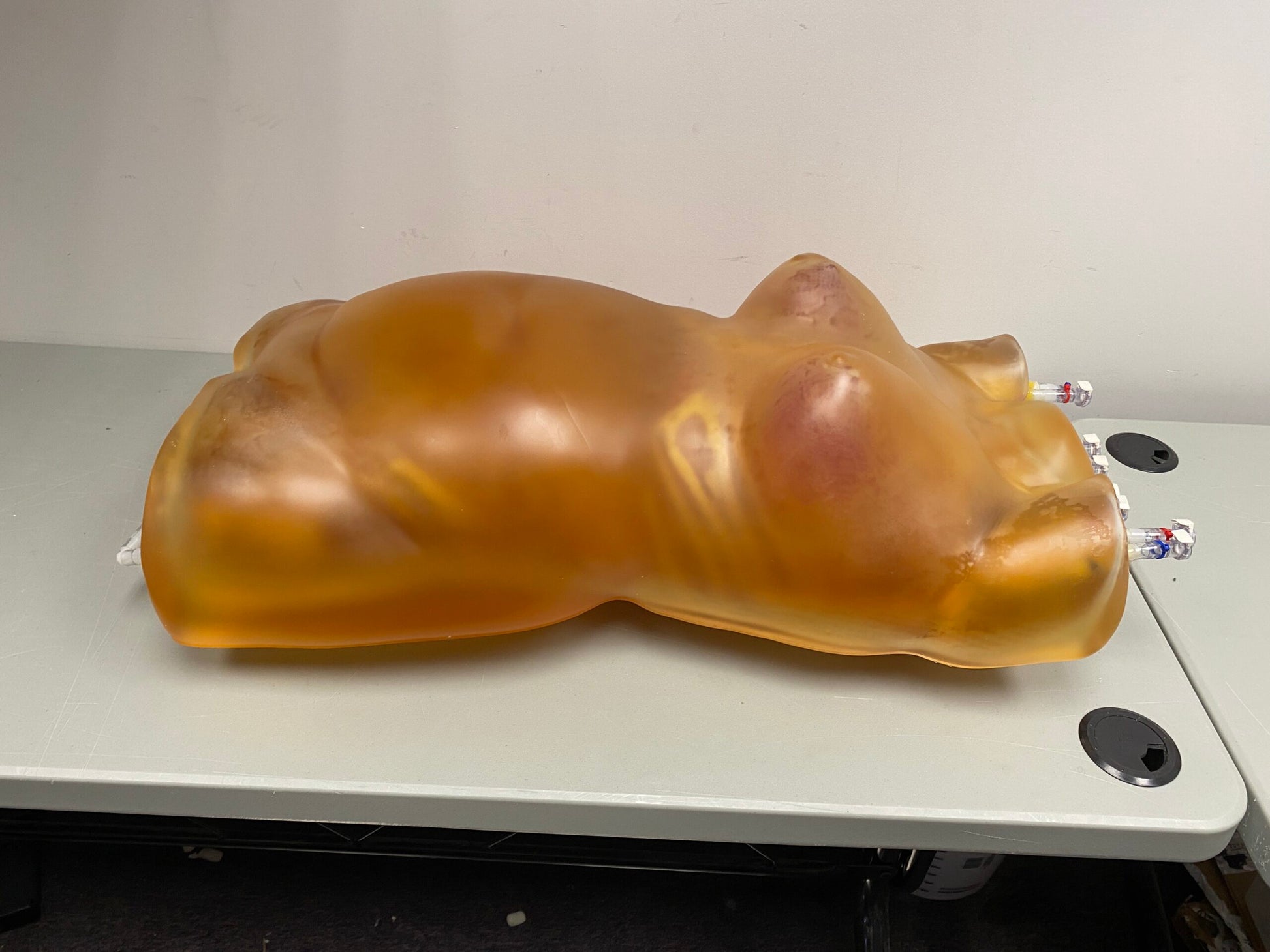 Adult Female Torso Phantom for X-Ray CT, MRI