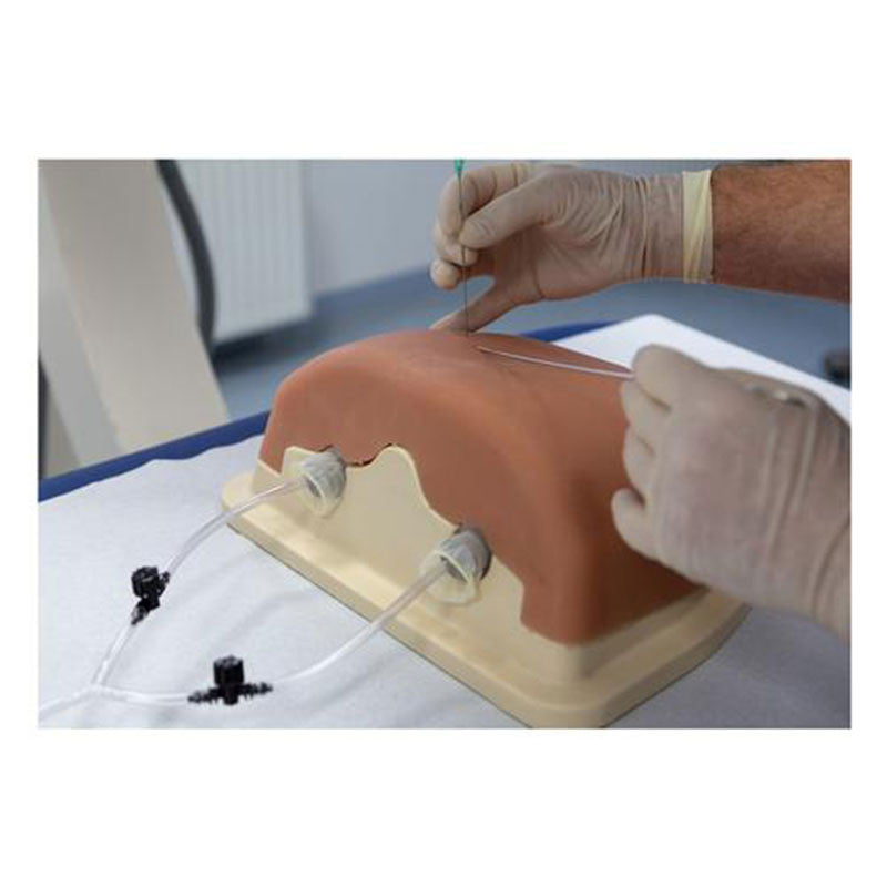 Thoracic Spine Injection Trainer