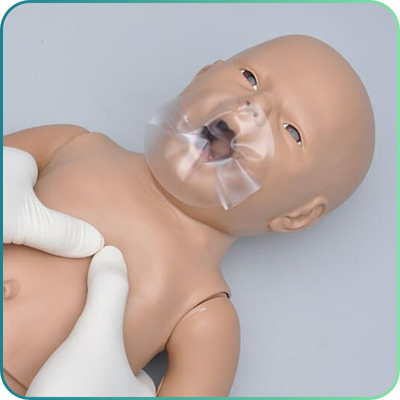 Infant / Paediatric Life Support