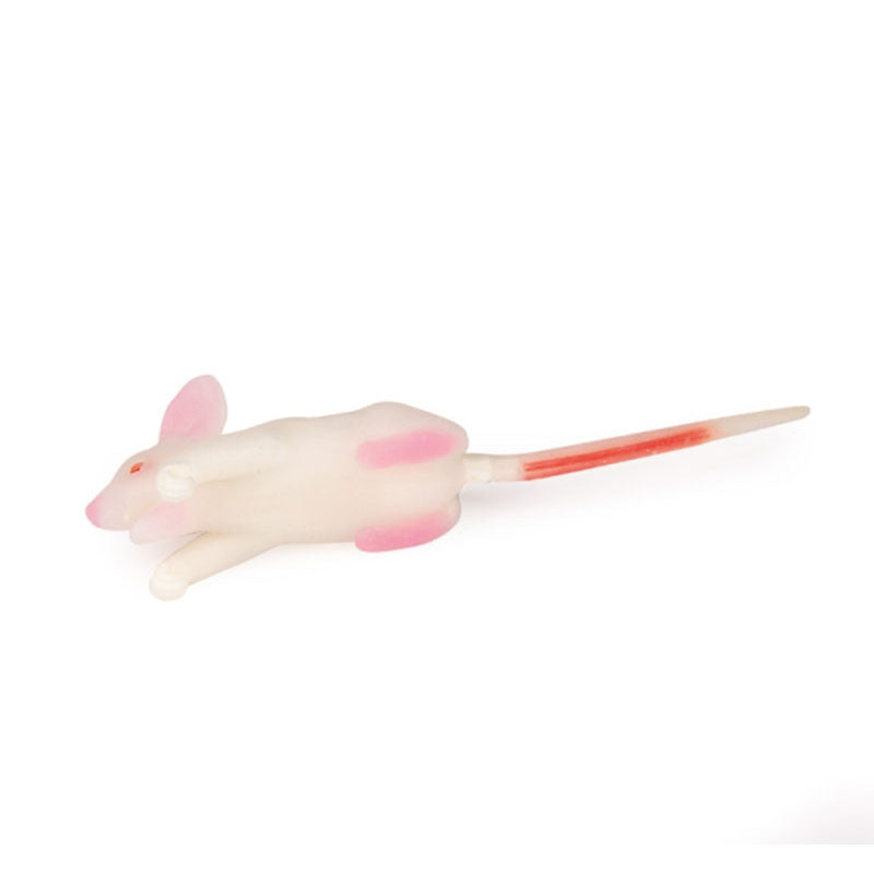 Mouse Simulation Model