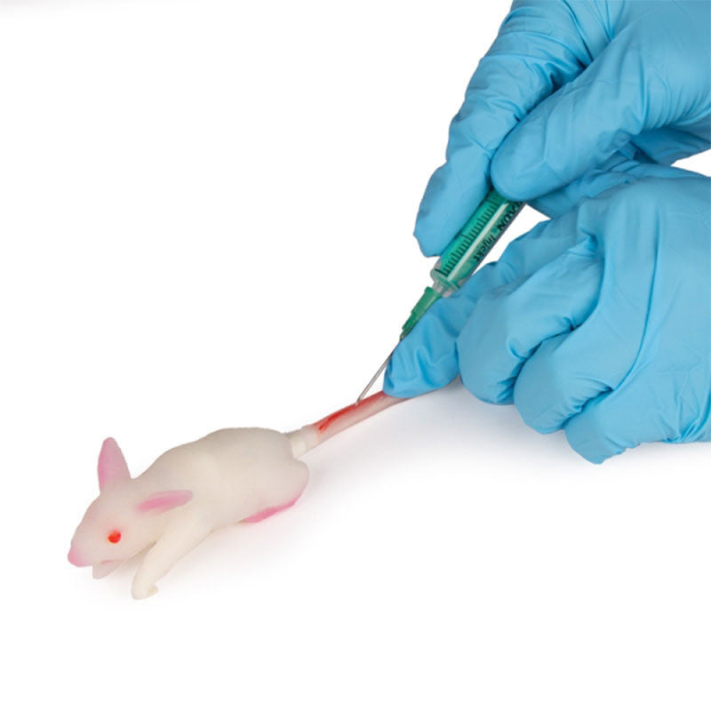 Mouse Simulation Model
