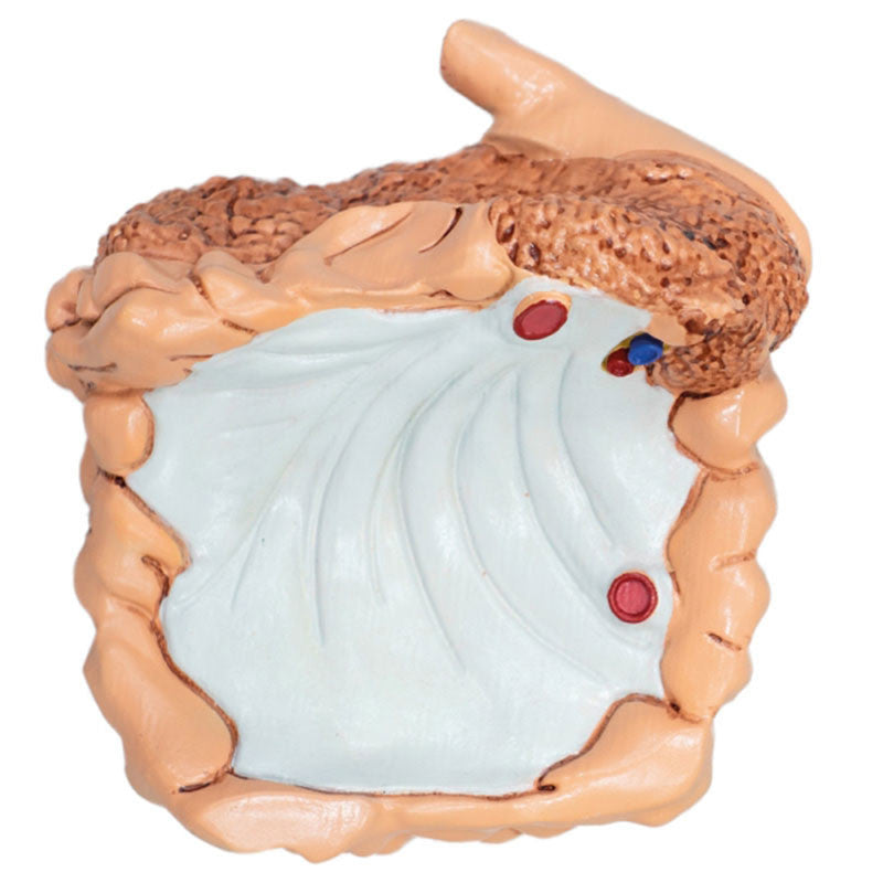 Cross Section Internal View Of Pigs Large Intestine