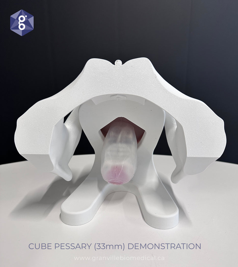 Iris Pessary and Device Demonstration Model